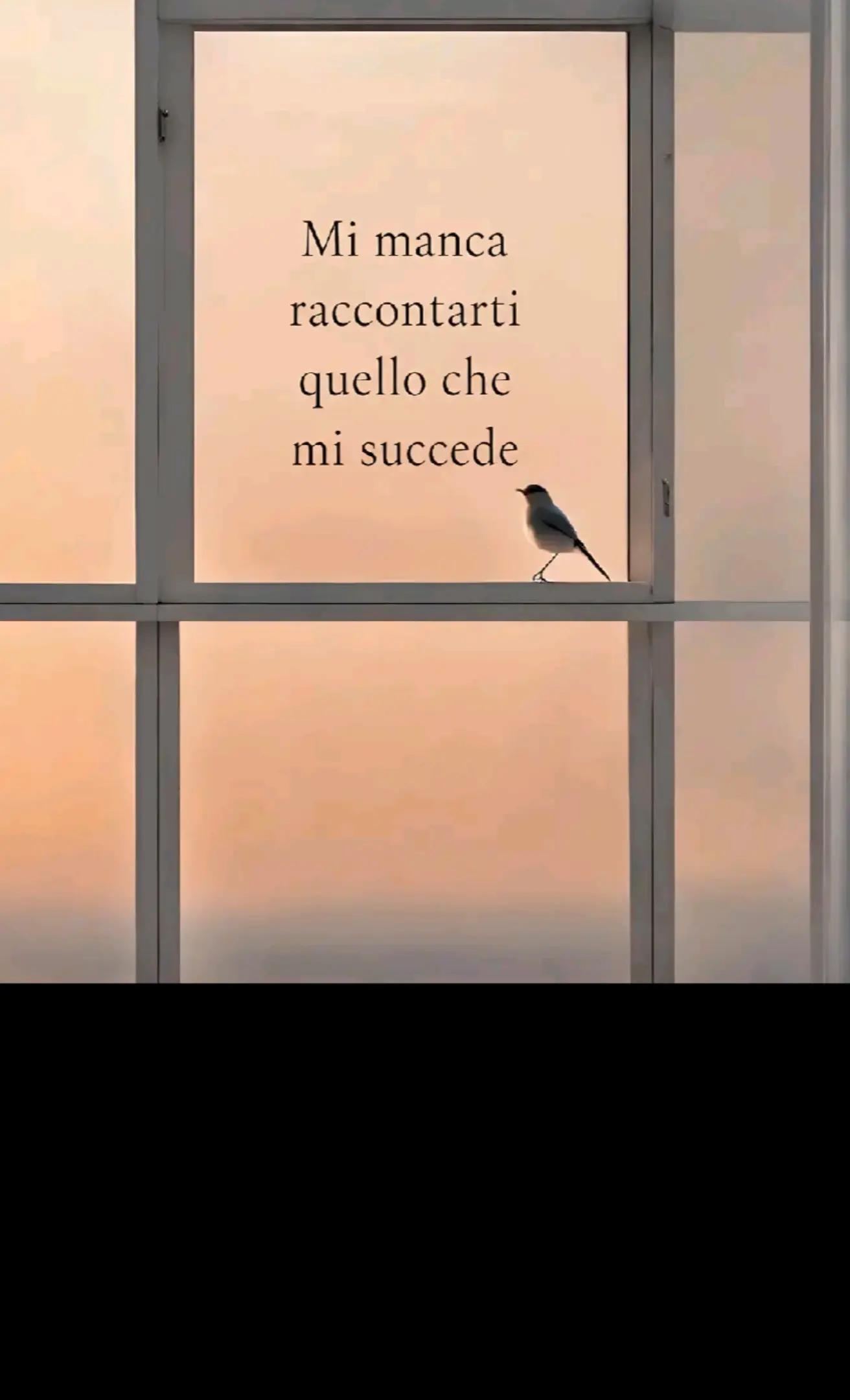 @💞 MERY 💞 DI LORENZO 💞