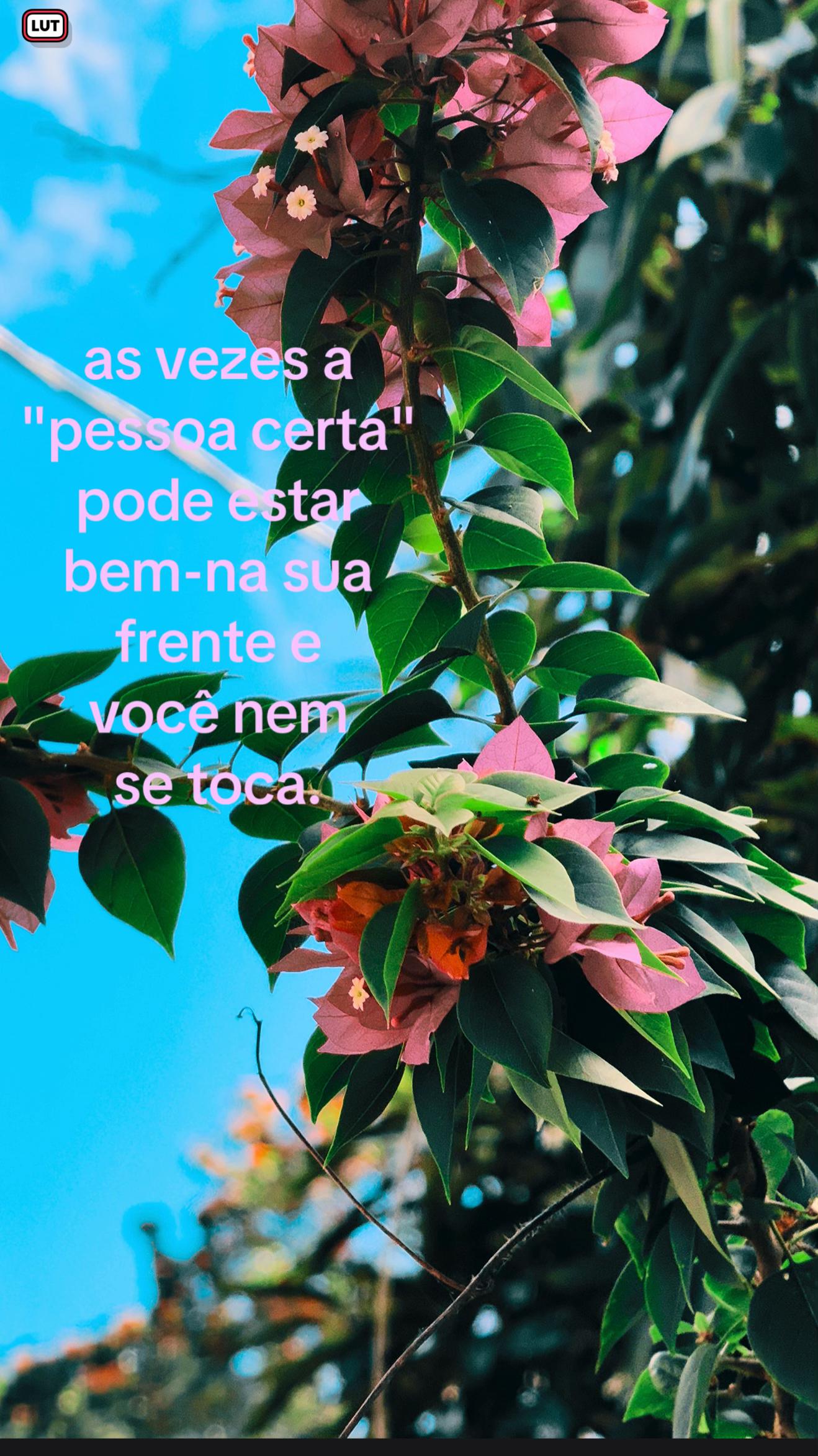 @eoduarte