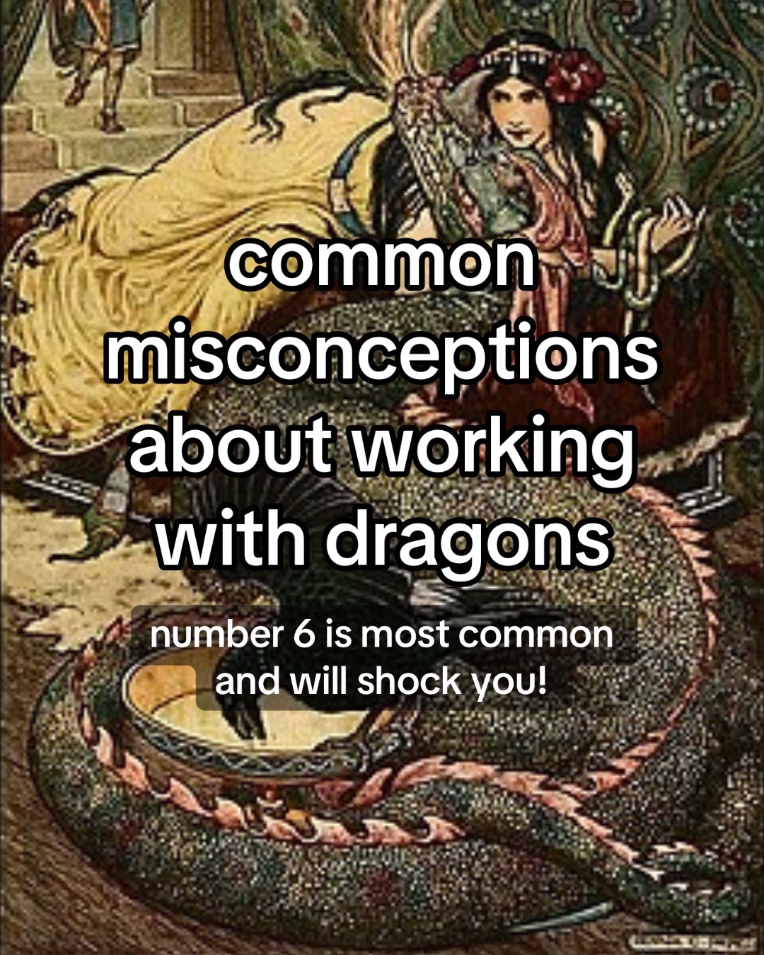 @The Draconic Priestess 🐉