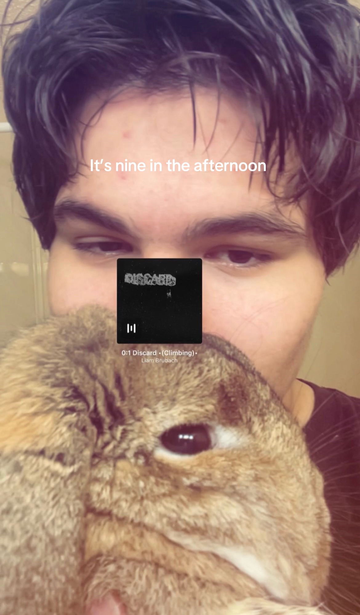 @Fadedbunny69