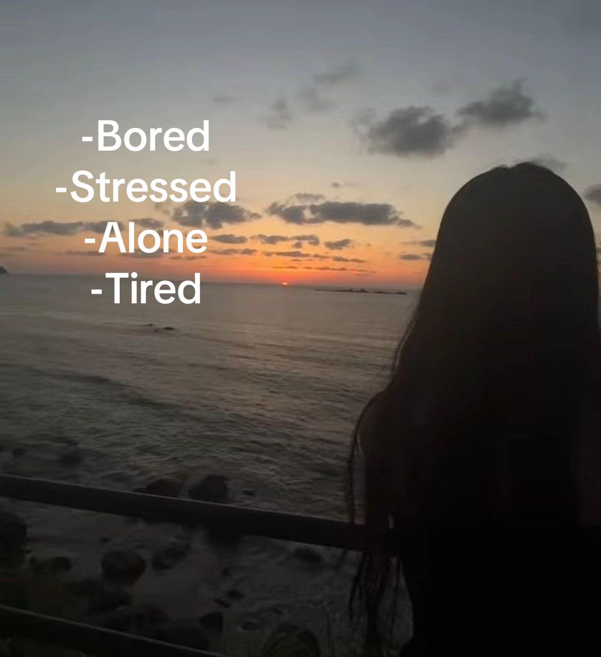 @Amelia LF