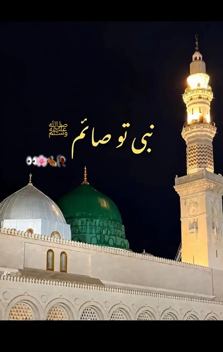 @Saqib Ali001✅⛎