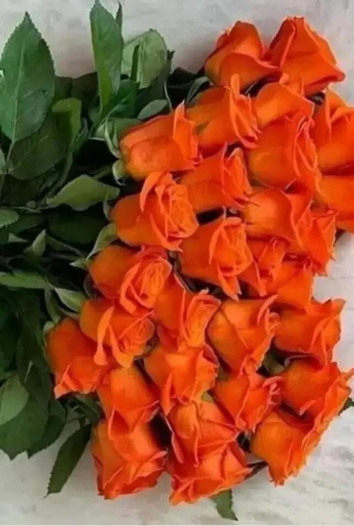 @💞Полінка💞💞