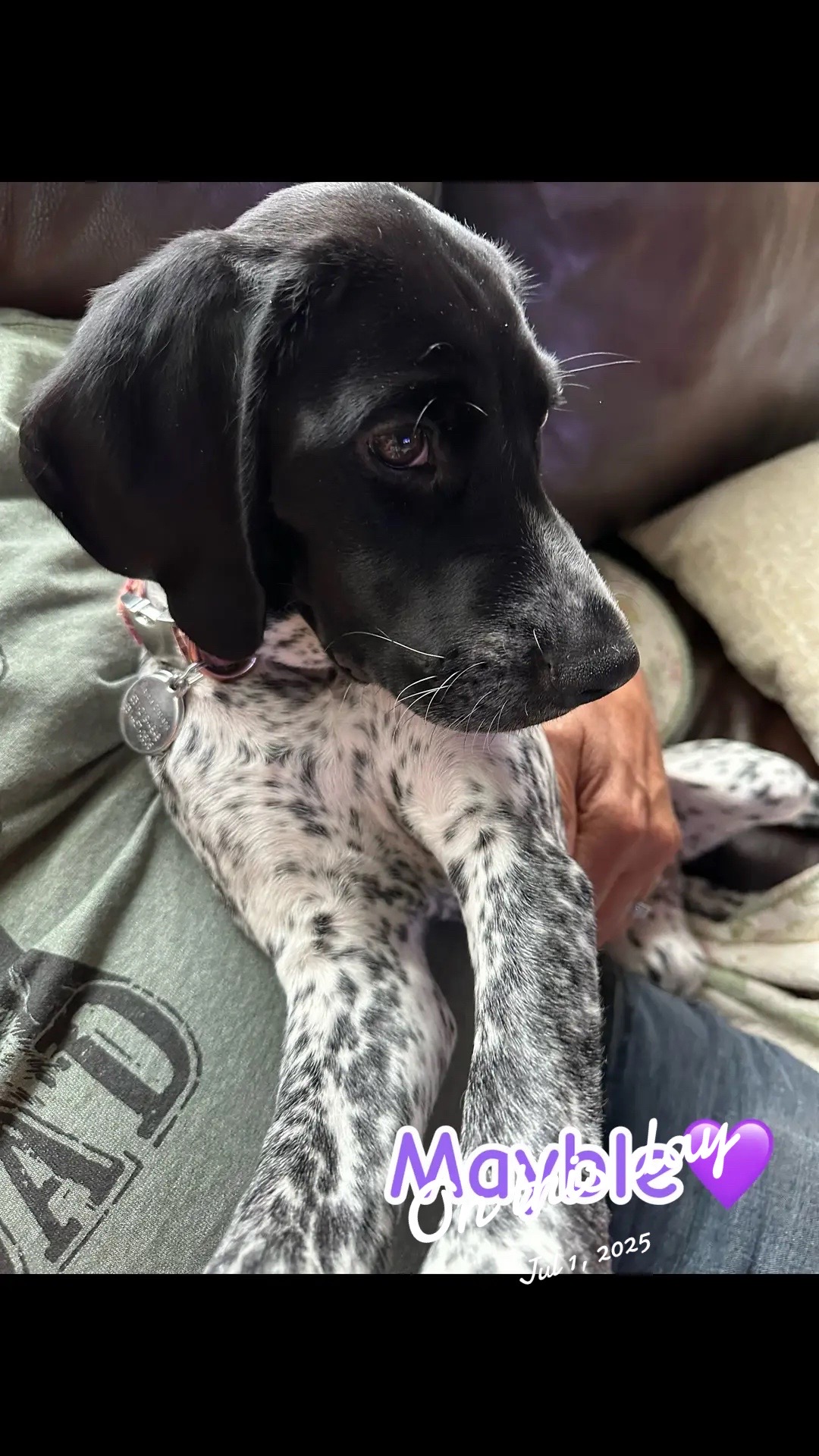 @hellovbirdie