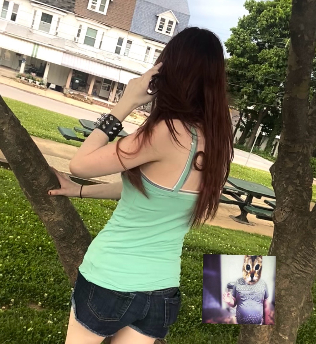 @ivy⋆˚🐾˖°