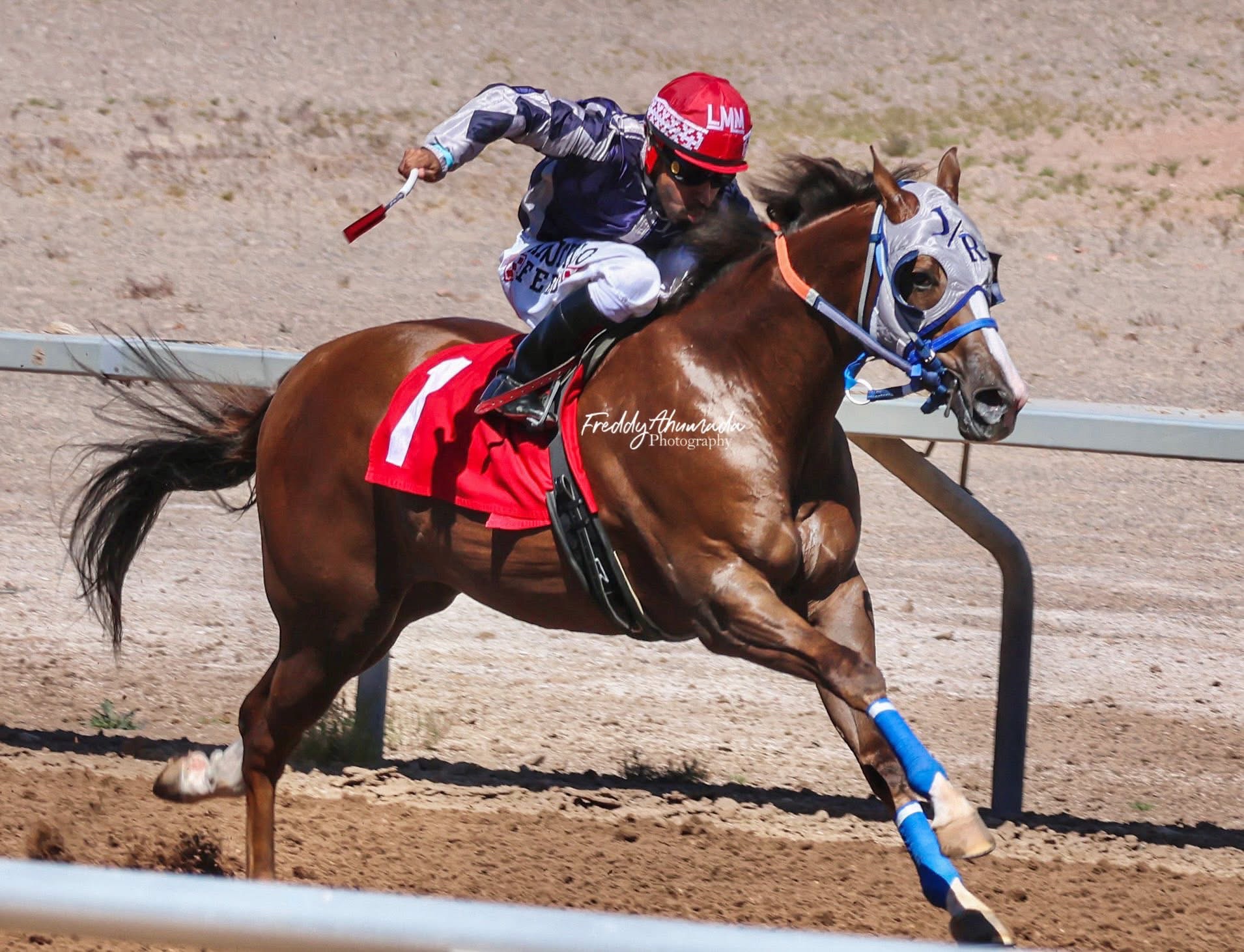 @Colorado Racing 🐎 303