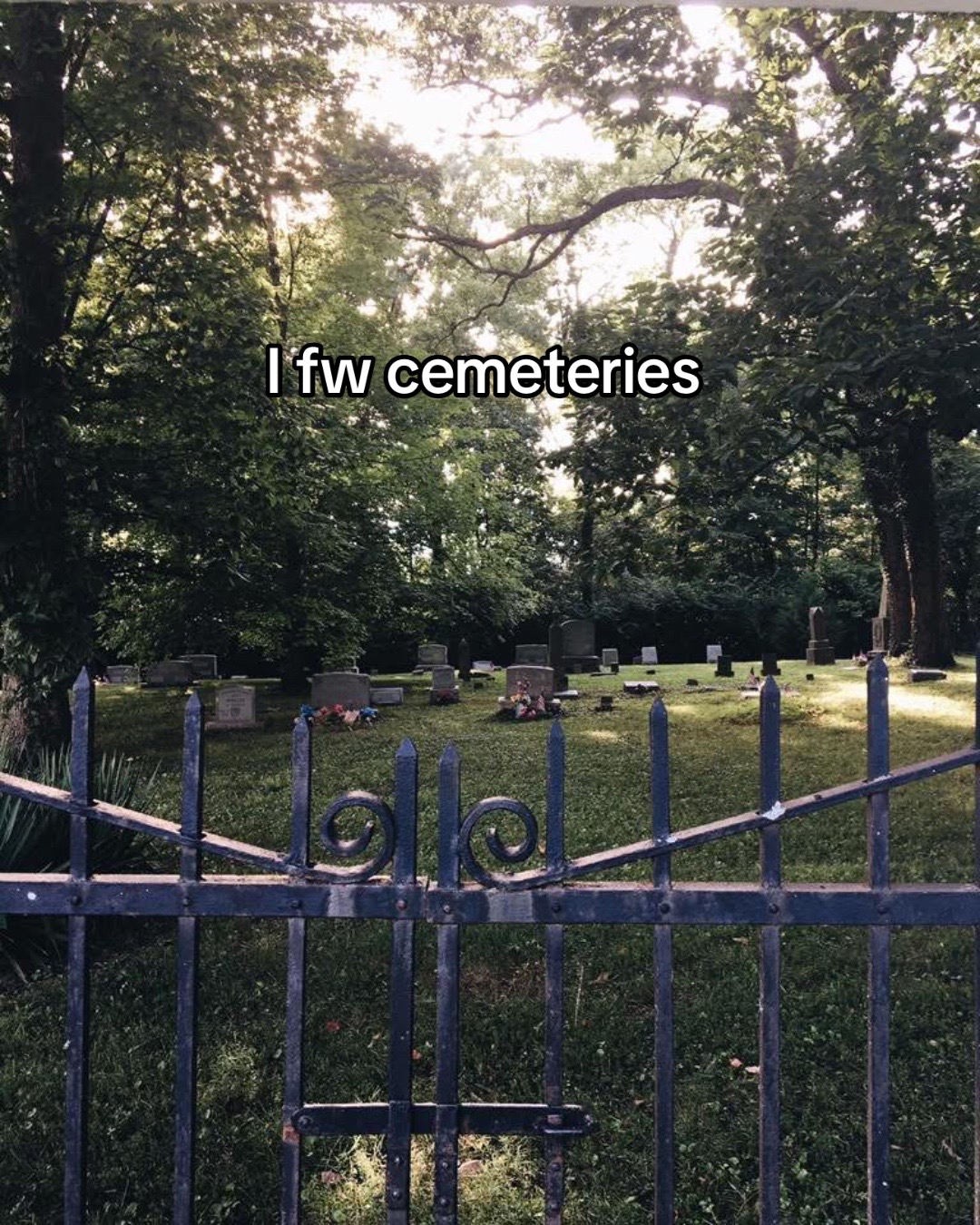@Angelina🕯️🦇🌙