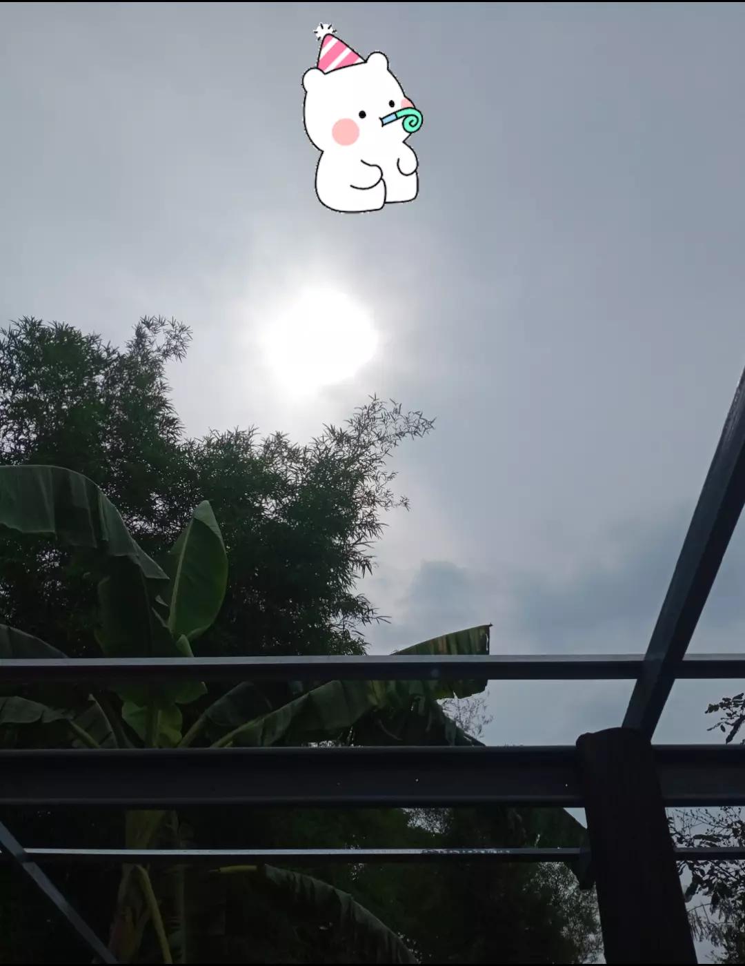 @muy90