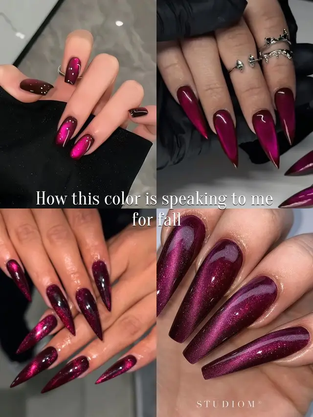 @𝒟𝒜𝐼𝒮𝐻𝒜🍎