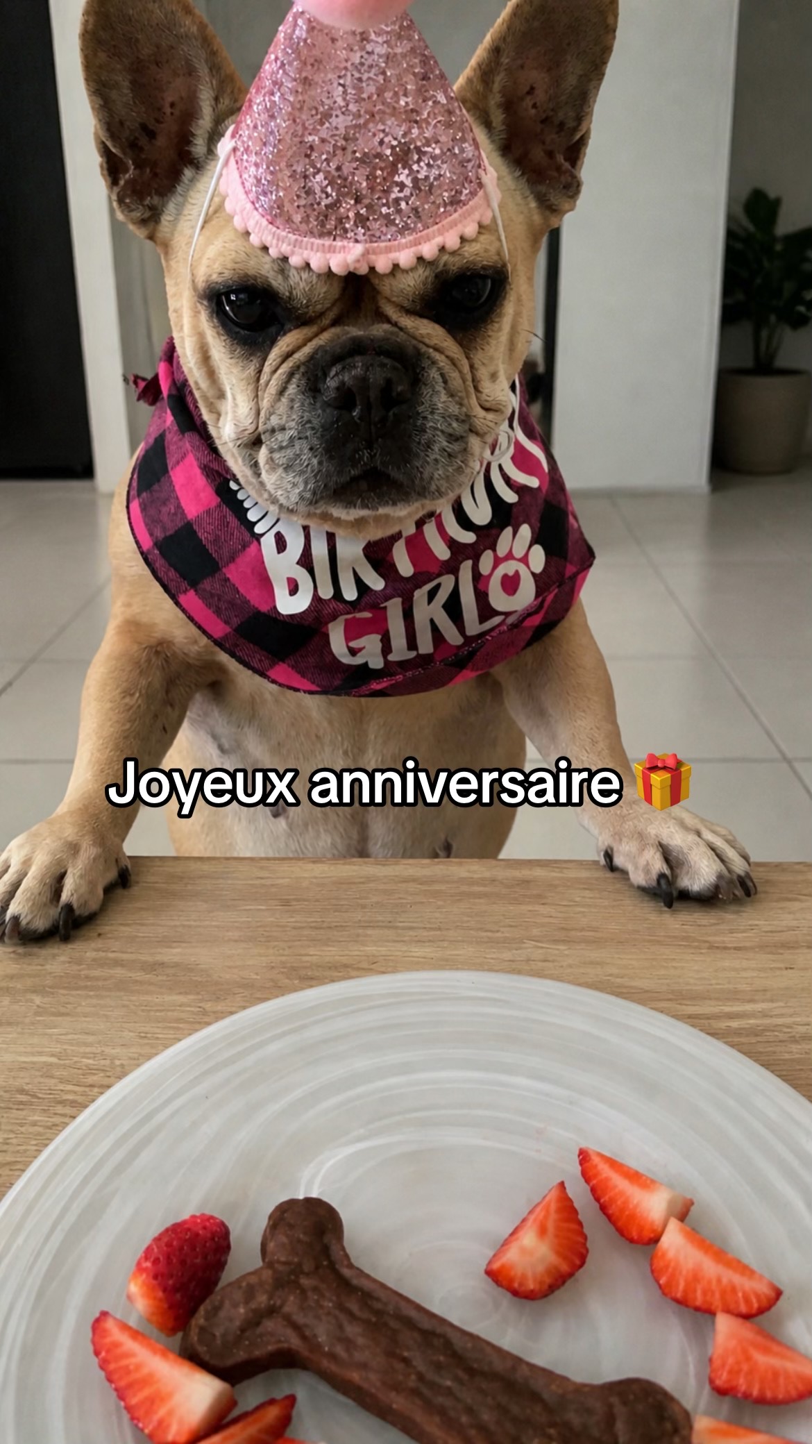 @les aventures de Nina