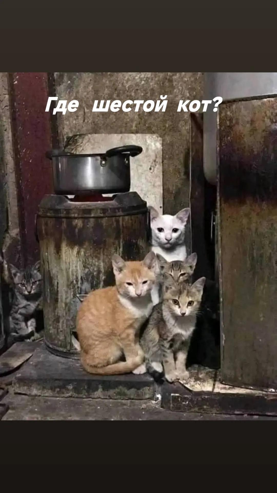 @МЕМ ТО МЕМ official