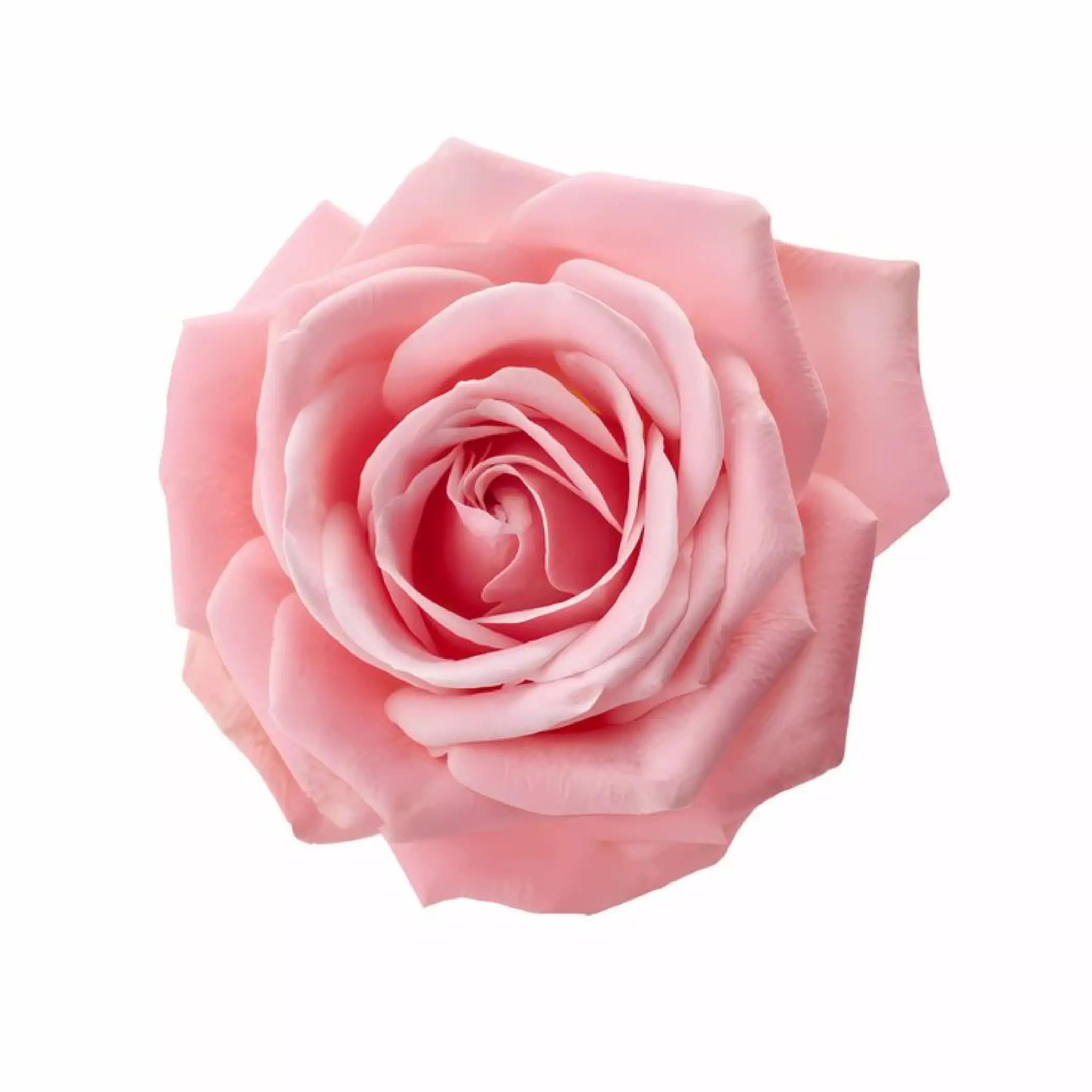 @୨ . ࣪ ɴɪᴄᴏʟᴇ ! 🪱