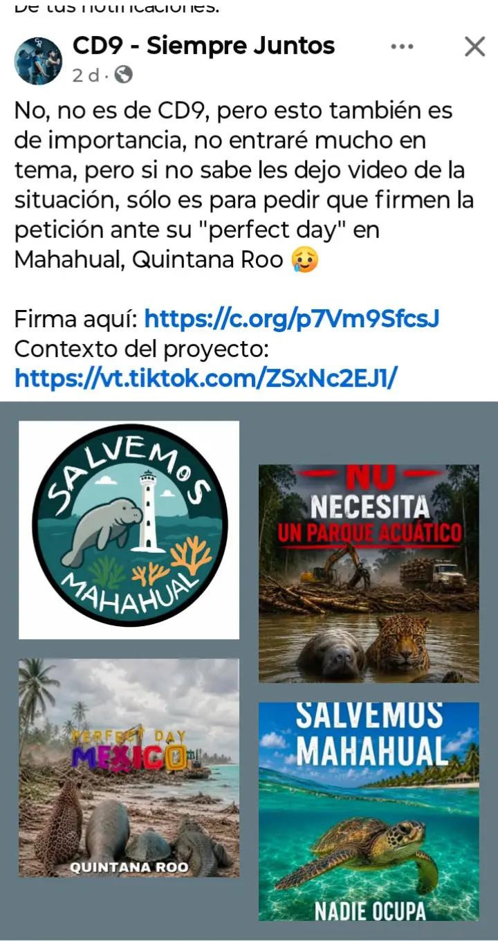 @Amaranta p 🦋✨💖🌺