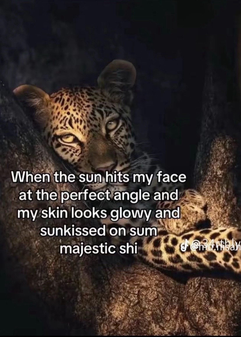 @🦅
