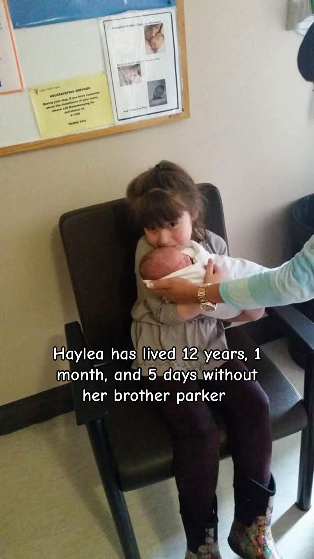 @haylea ⸆⸉