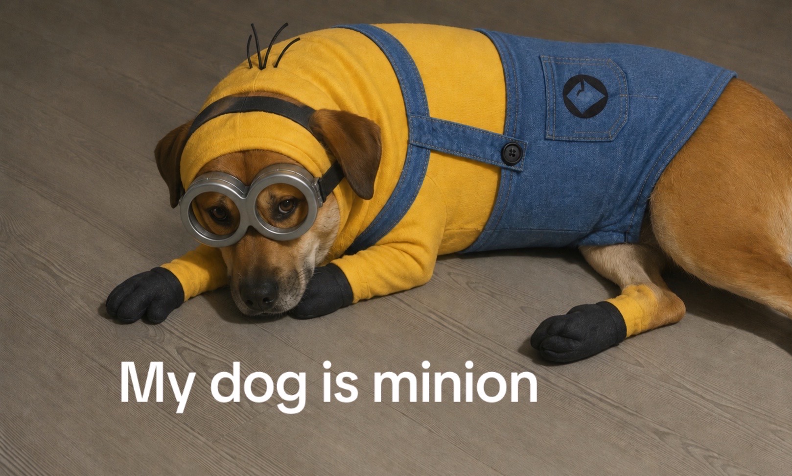 @Mydogsthebest