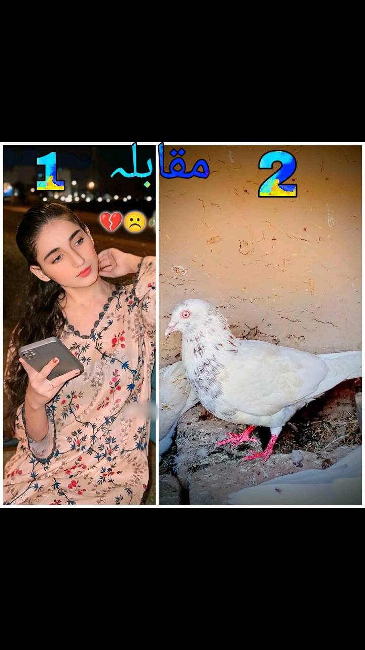 @Khalidsial