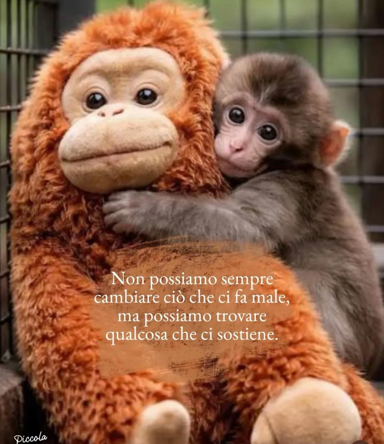 @Baby J.J ♥️