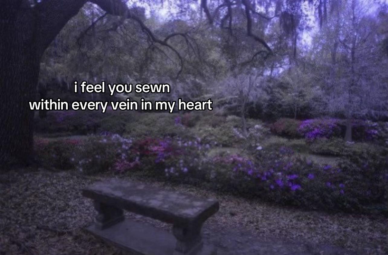 @𓋹 🐞Nyesha 𓏲ּ𝄢