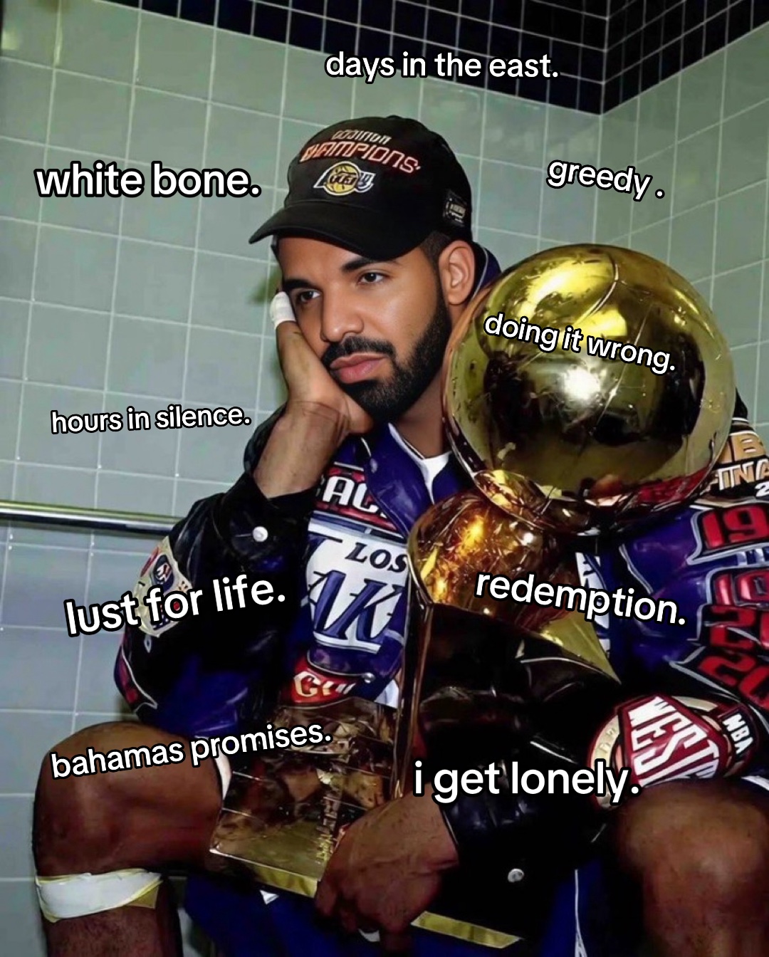 @FakeDrakeFan69