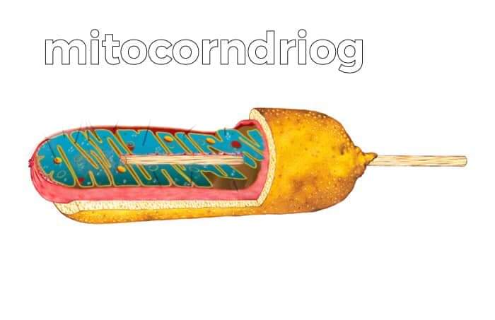 @𝕀𝕥𝕤𝕁𝕦𝕤𝕥𝕄𝕖𝔸𝕝𝕚