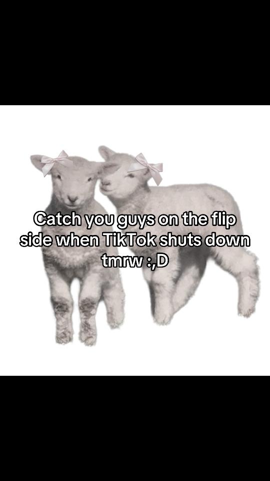 @Nasu’s art account 🎀🐑