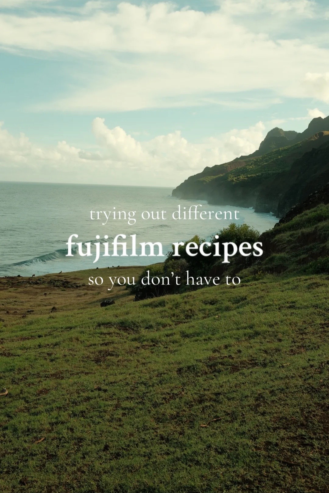 @fujideegz