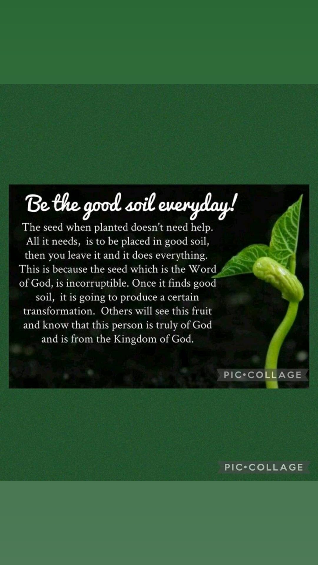 @Barbara Mcdowell