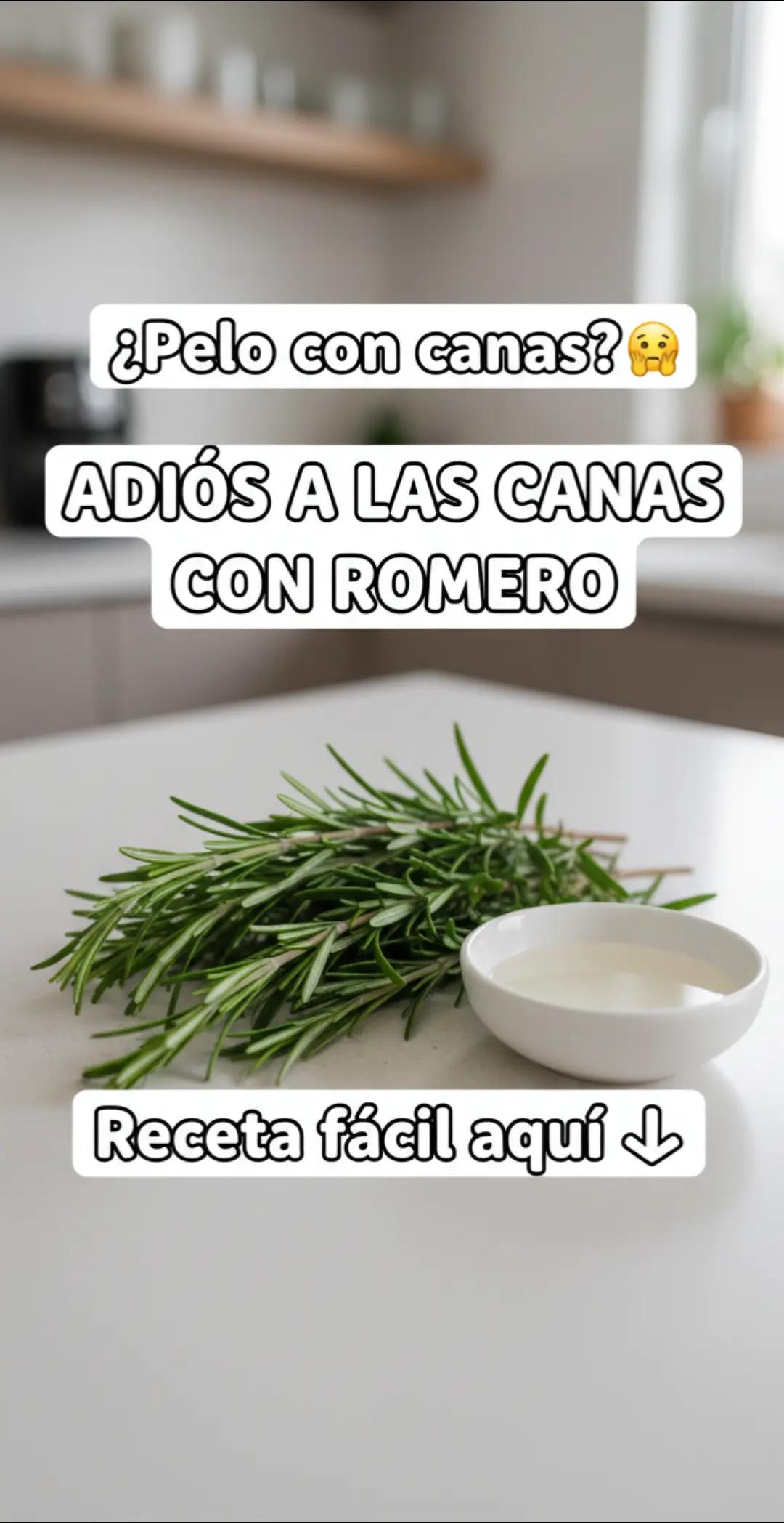 @Dr.Aurora