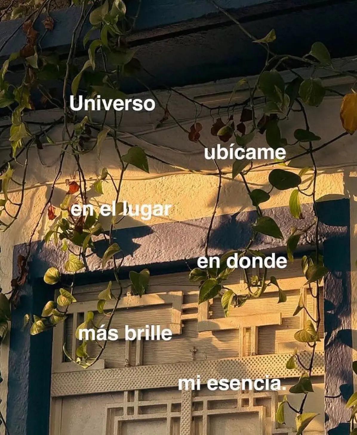 @Luu.🕷️🖤