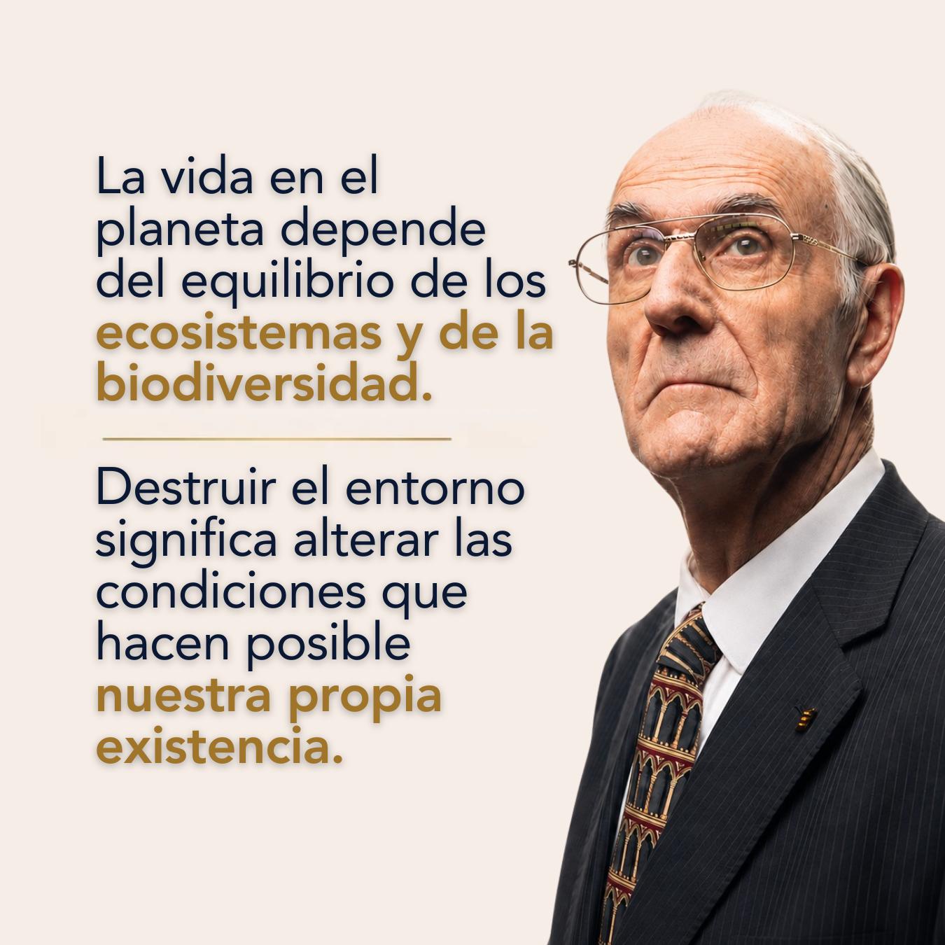 @Dr. Manuel Sans Segarra