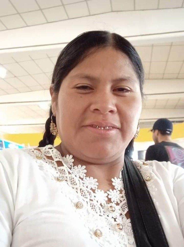 @liz lenzy siles