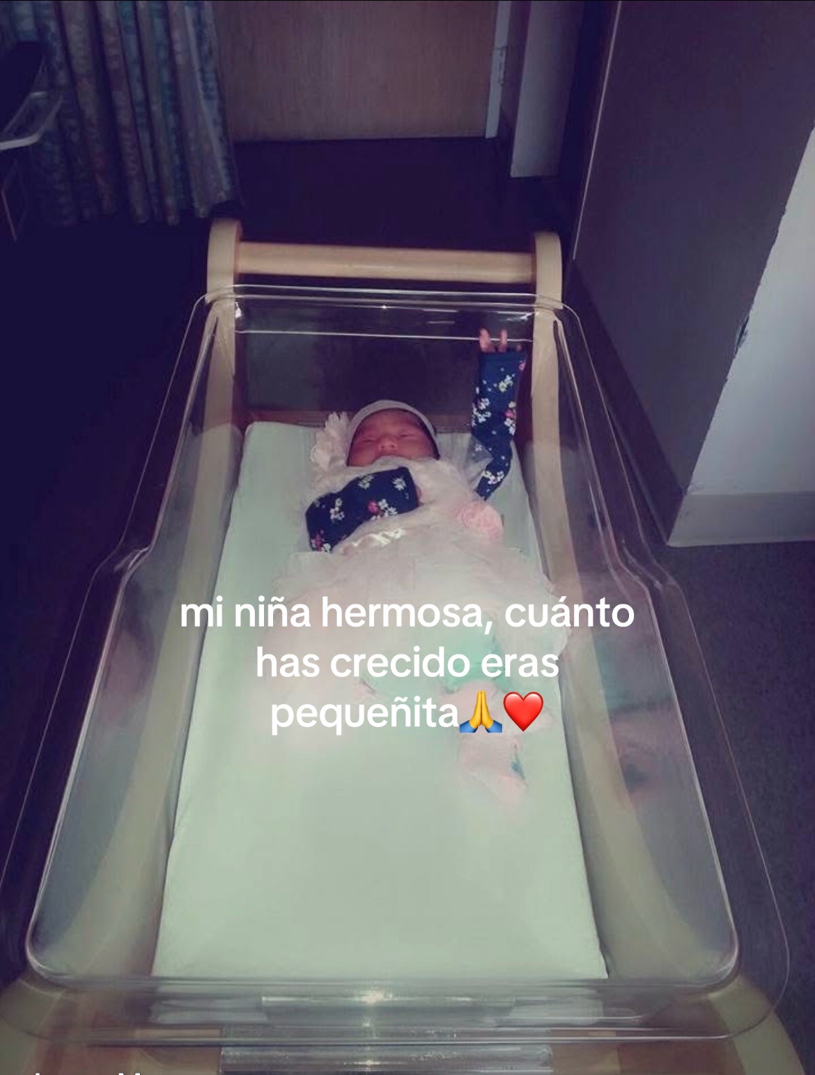 @@angelitabano2