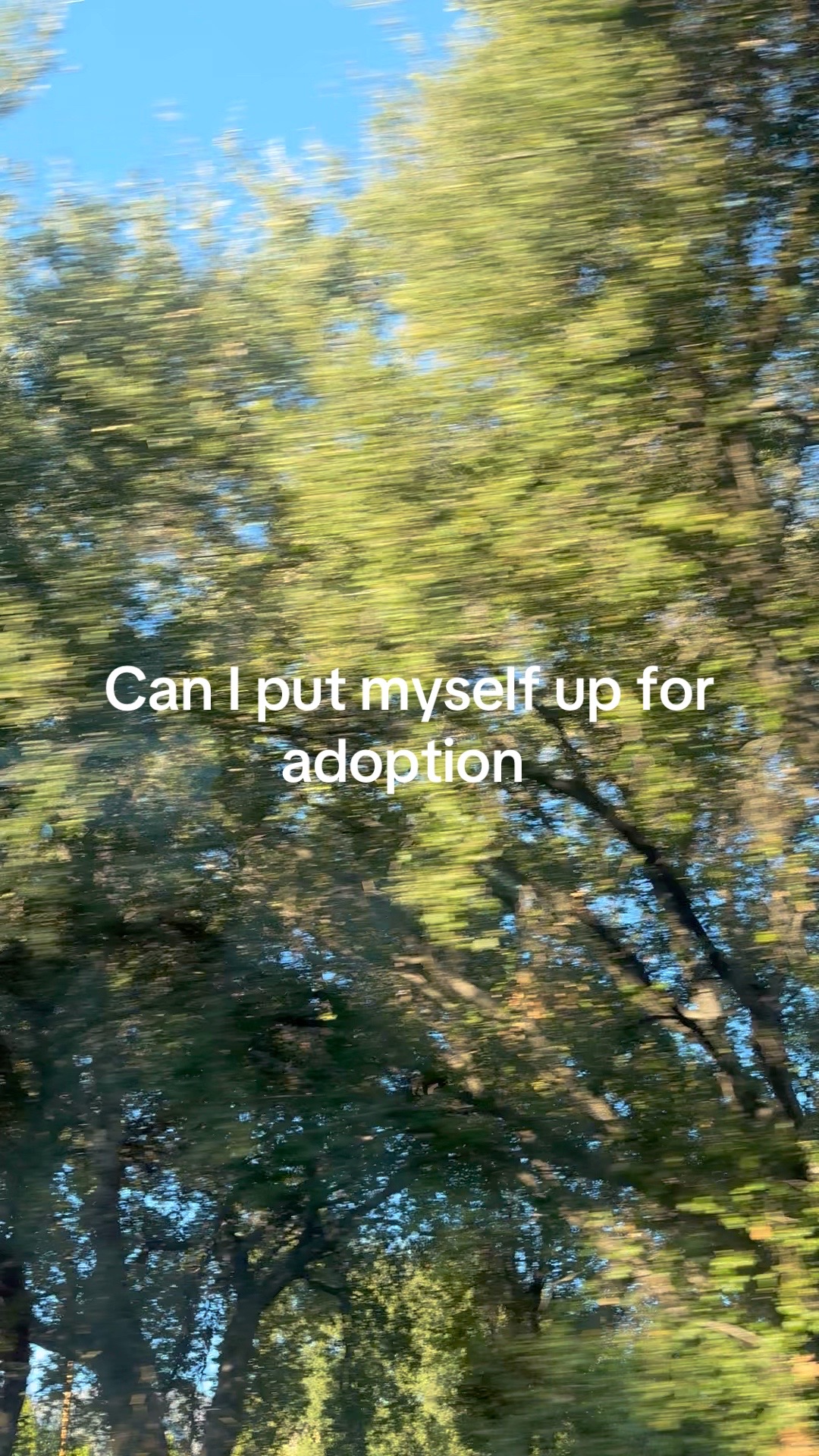 @Lily van Dang