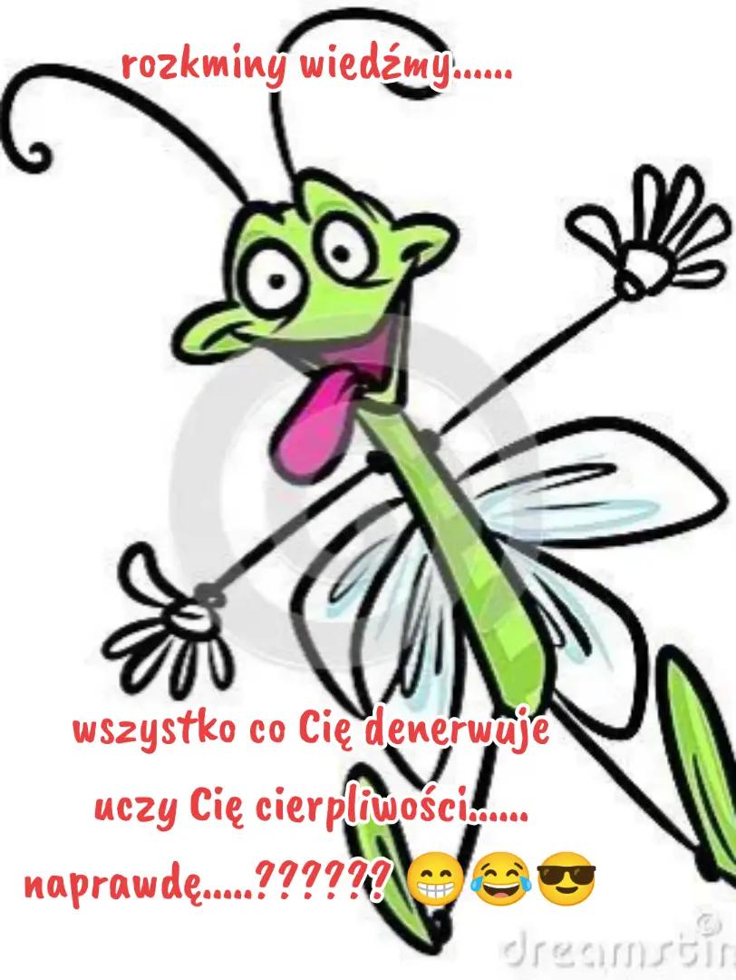 @Ewa Jóźwik