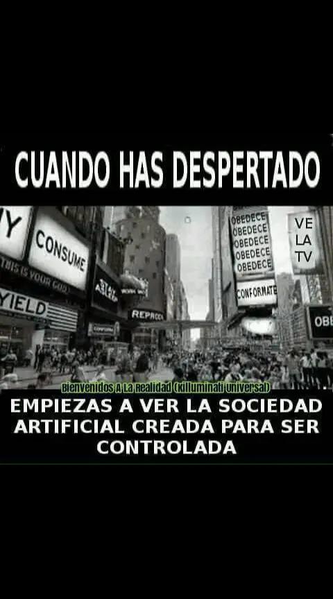 @despierta tu conciencia