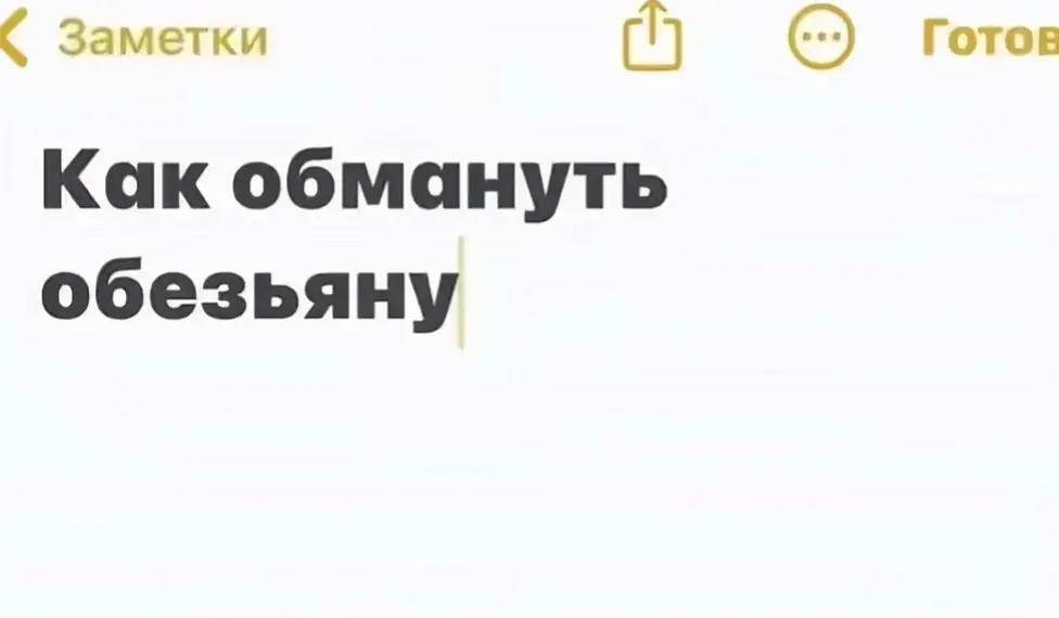 @Алинка😅❤