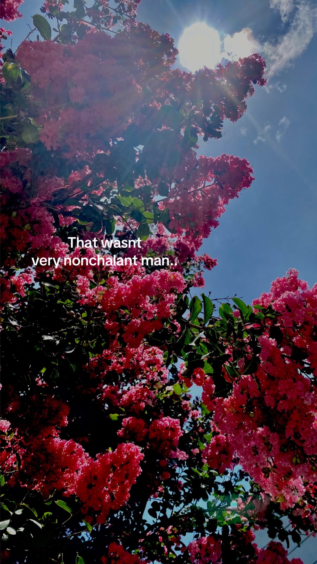 @𝓢