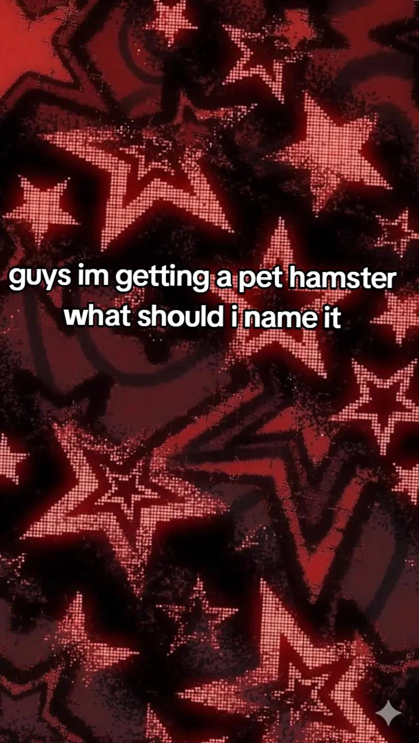 @⛓️💥❃🎸 🎧hannie🎧❃🎸⛓️💥