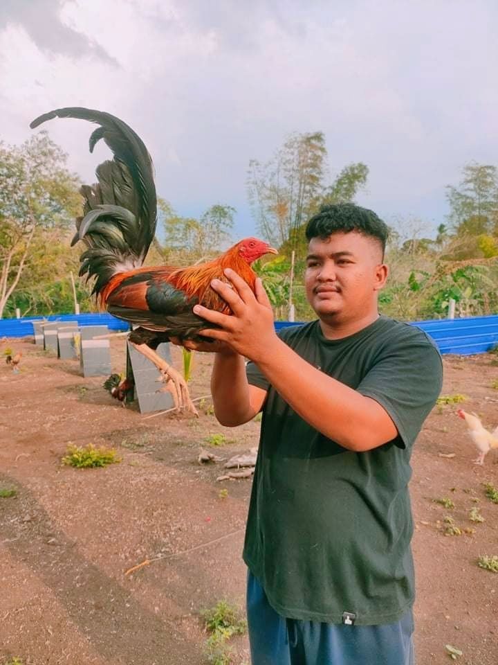 @Arvin Del rosario