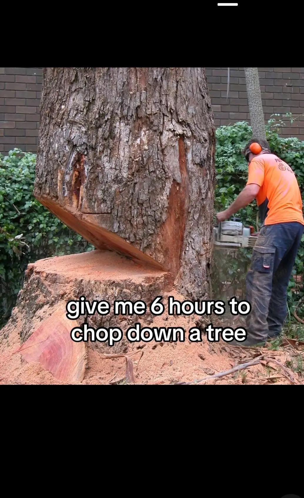 @yeagerists2