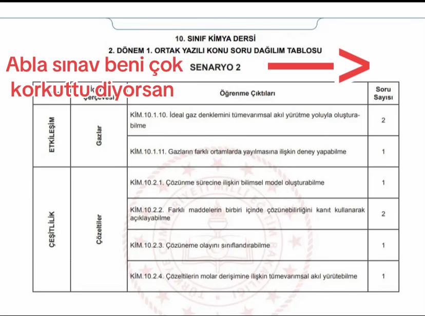@Aslı Ceren Eker