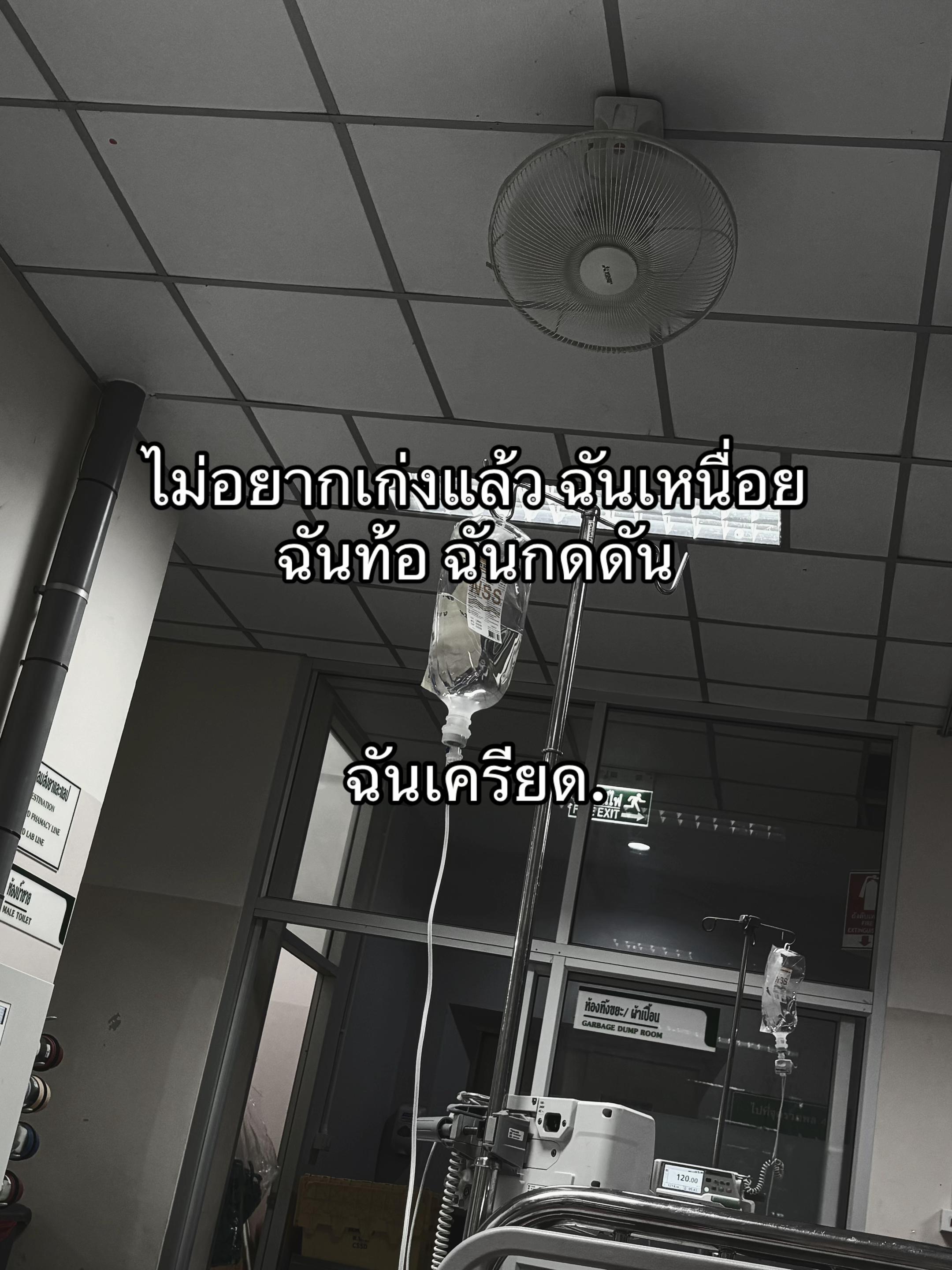 @พราว🪼🌈