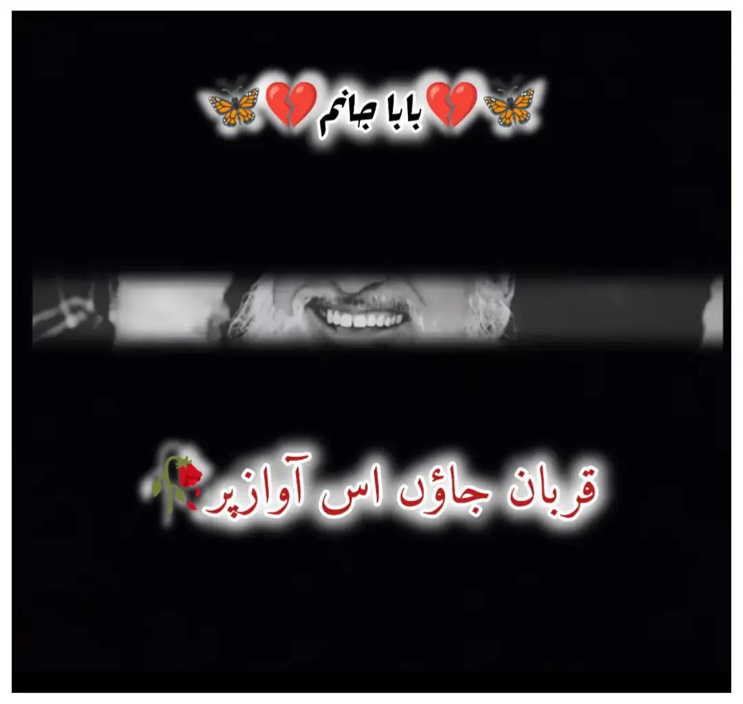 @Muzamil Hayat