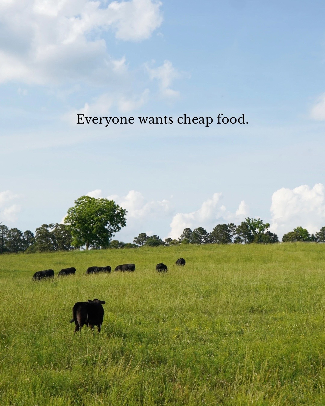 @Lily Hill Farm