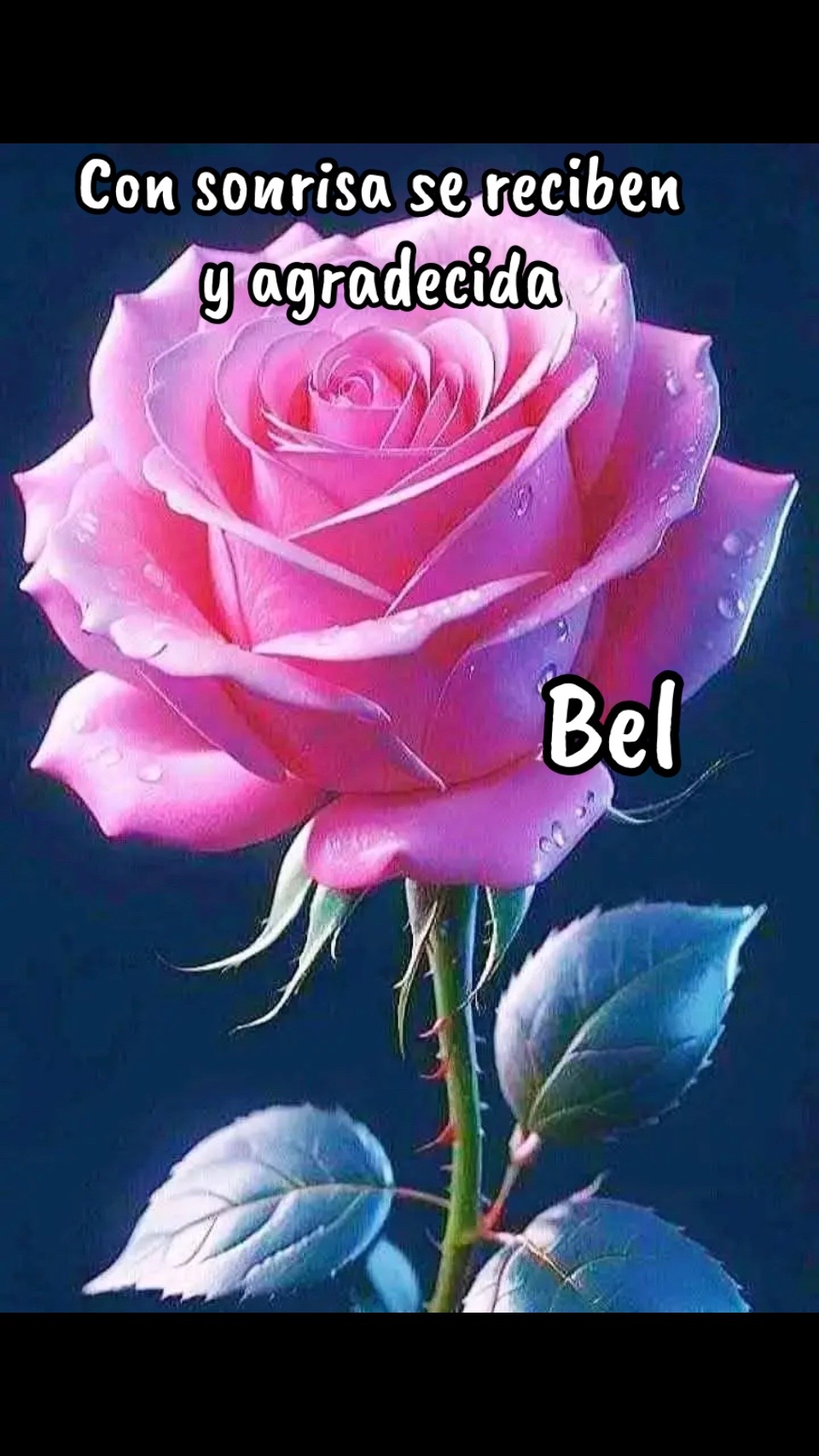 @🧏♀️ Bel🧏♀️