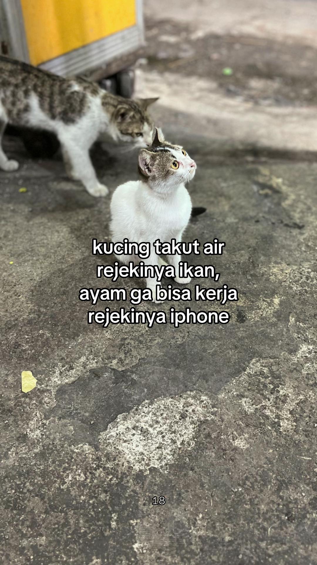 @๐๐๐๐ข๐๐ฃ๐ข