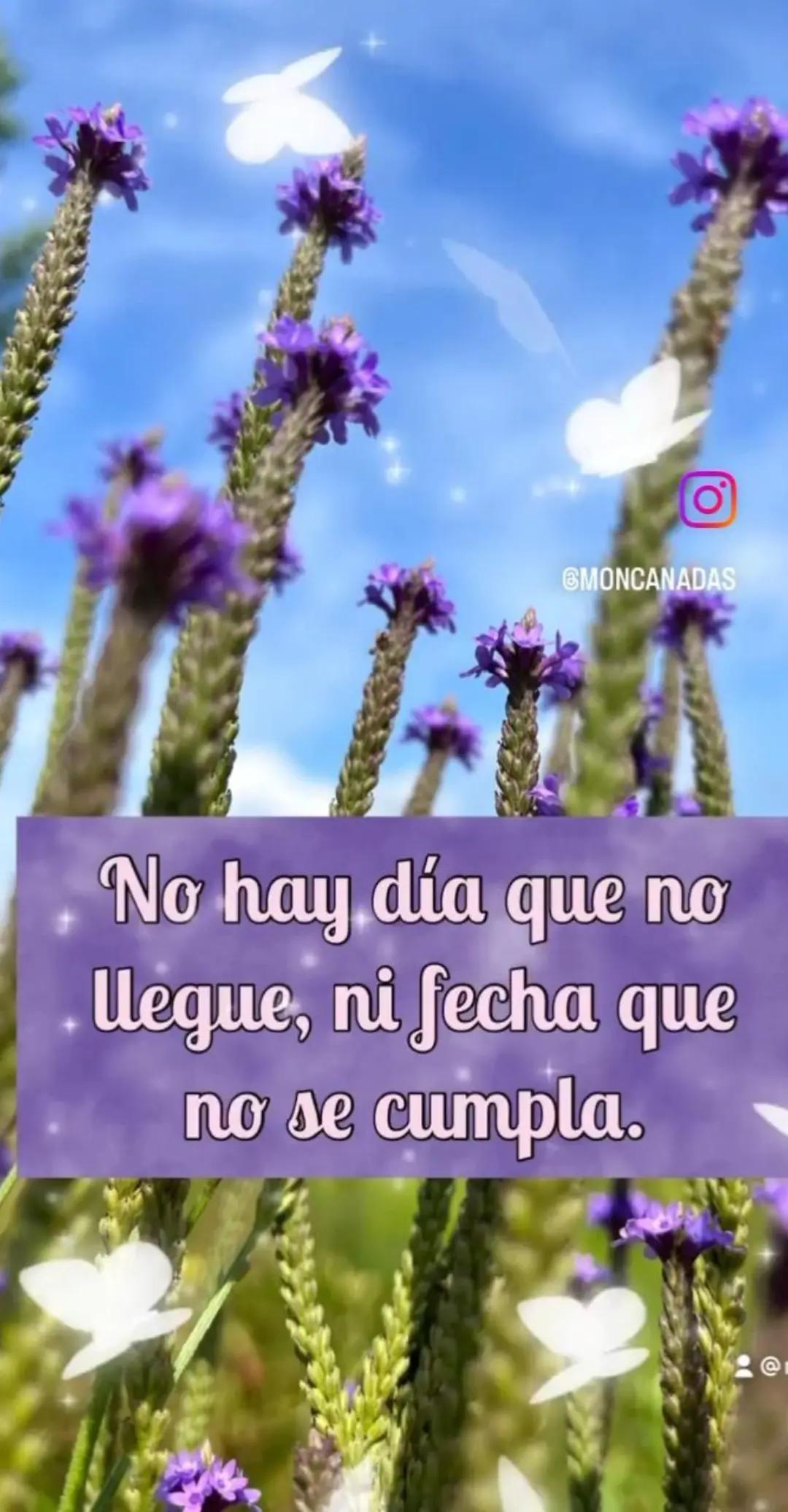 @Gabriela F.