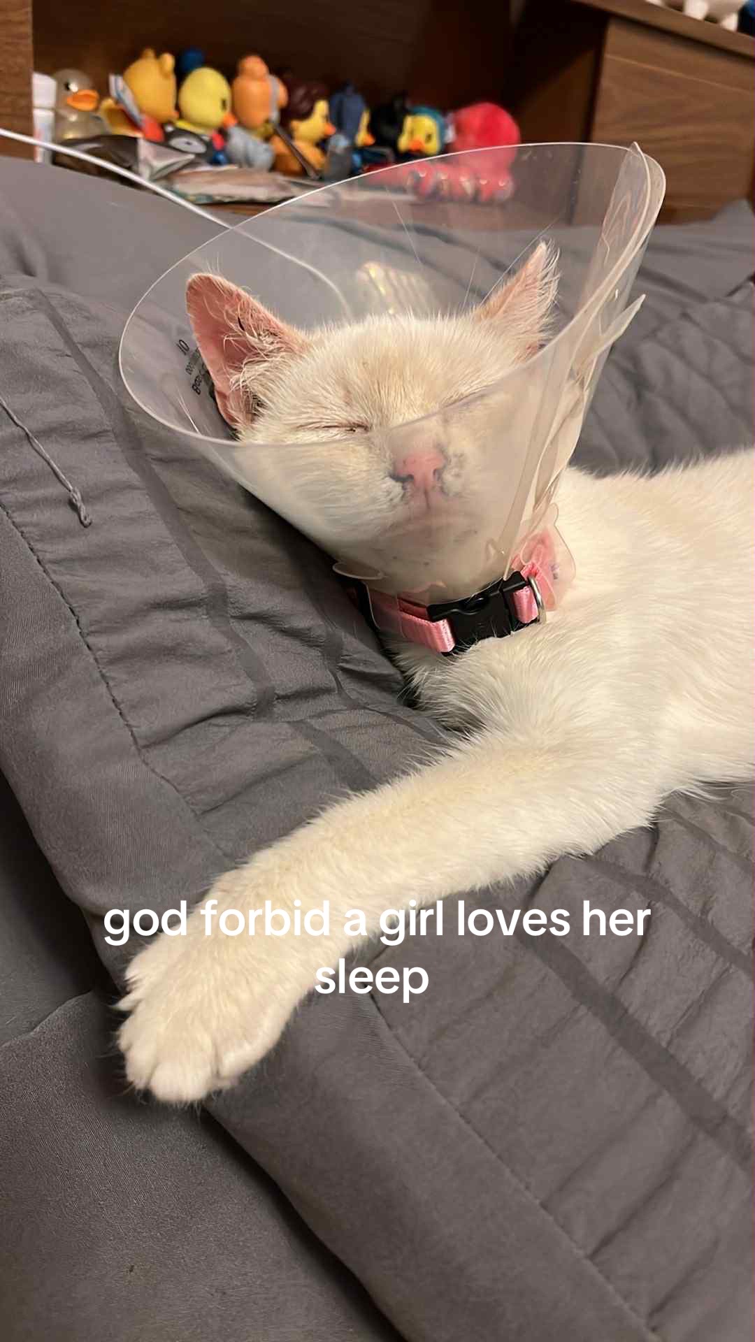 @Lizzy 🥱