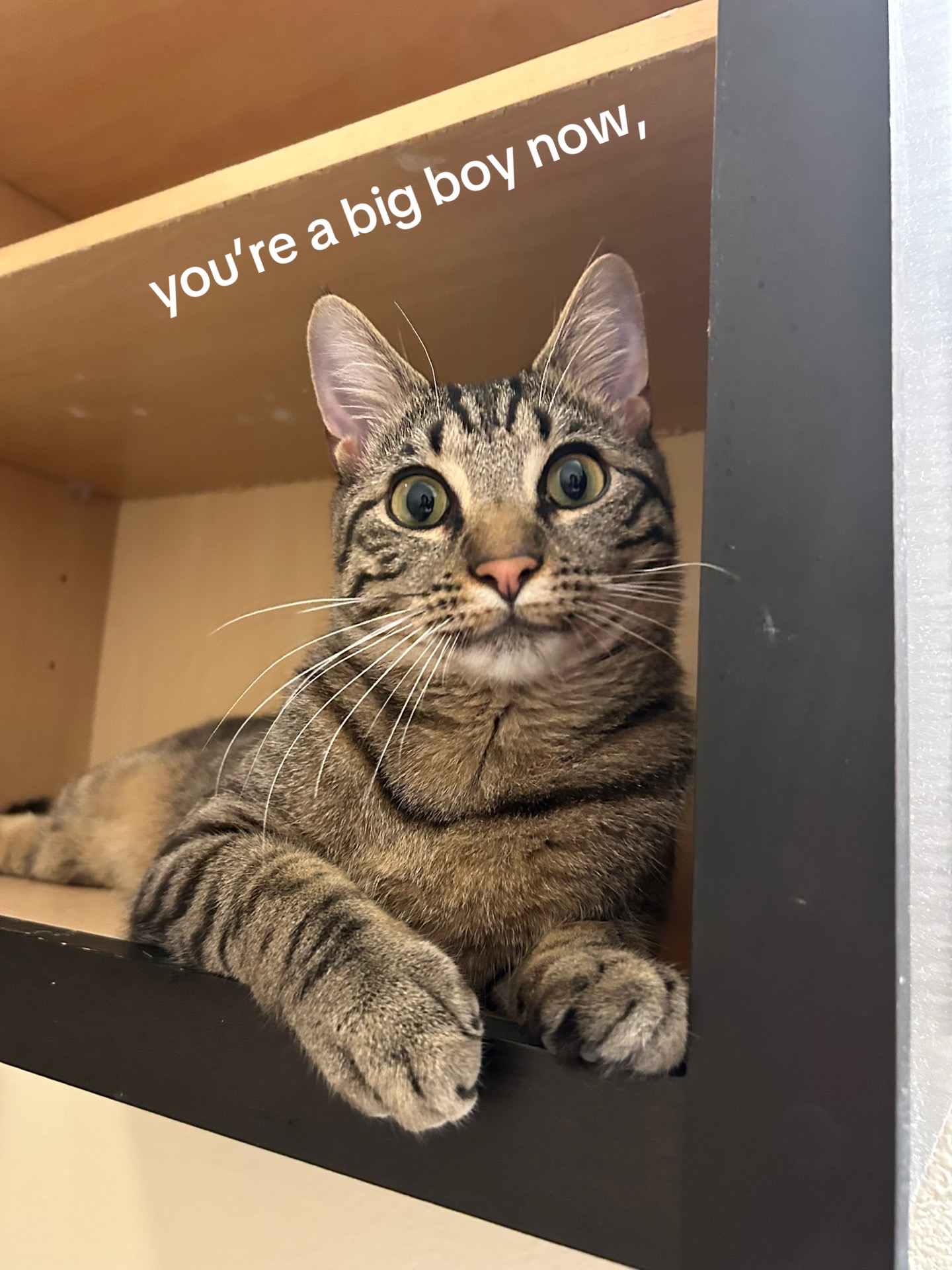 @🦦